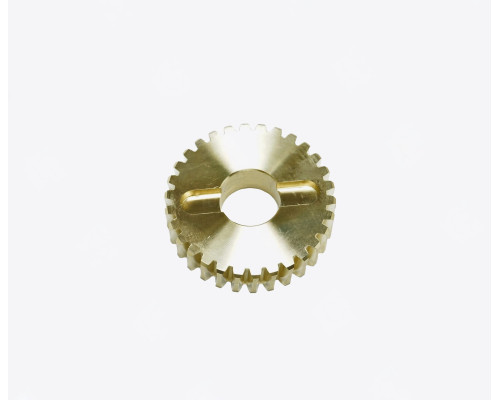 RS298 Шестерня черв’ячна R30/G30